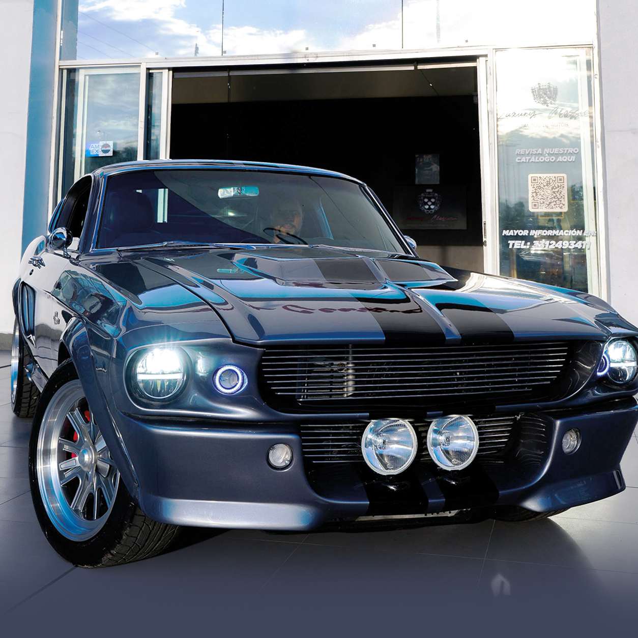 Midnight Eleanor Front